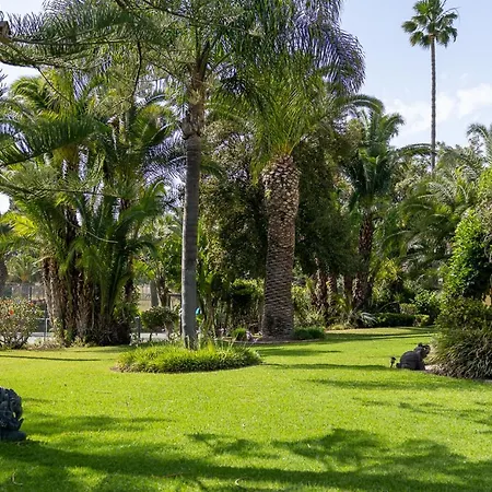 Splendid Penina Retreat *